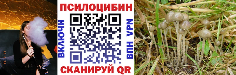 Псилоцибиновые грибы мухоморы  Александровск-Сахалинский 